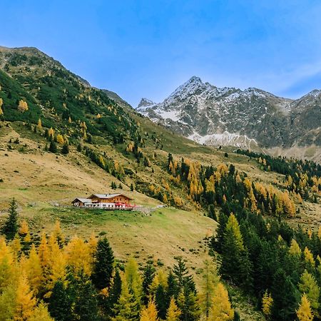 Die Acherberg Alm Oetz Eksteriør bilde